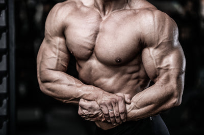 How selenium promotes muscle growth